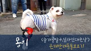 보행보조기