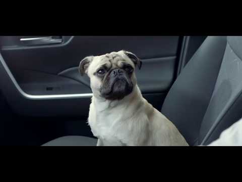 Garnier BBDO