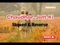 Chaudhar Jatt |  Haryanvi(Slowed & Reverve) Lofi Song| Raju Punjabi .