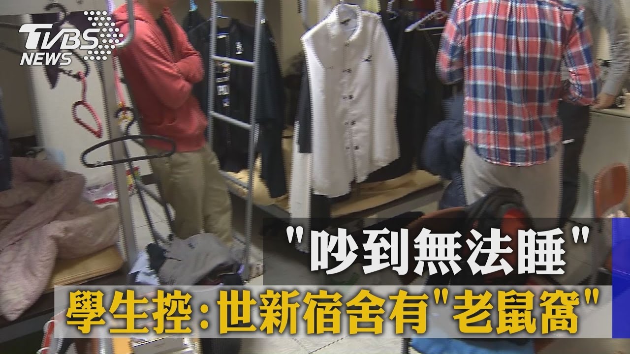 「吵到無法睡」　學生控：大學宿舍有老鼠窩