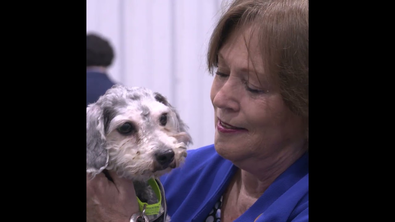 McNeill Hosts Annual Senior & Veterans Expo