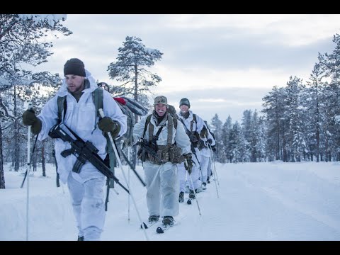 Learning to survive in the artic