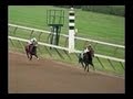 2006 Travers Stakes Bernardini
