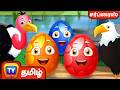 பறவைகள் பற்றி கற்போம் Let S Learn About Birds ChuChu TV Tamil 