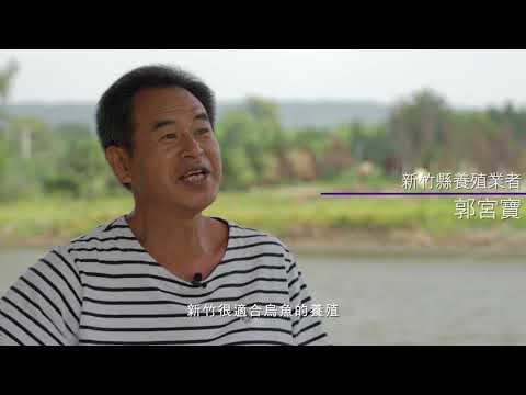 台灣黃金海岸線—新竹縣宣傳影片