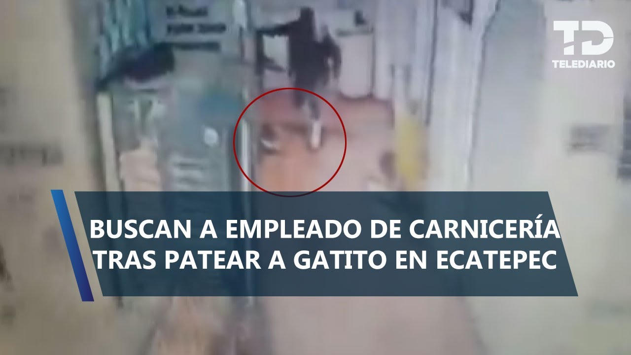 Trabajador de carnicería es captado pateando a gato dentro de mercado en Ecatepec