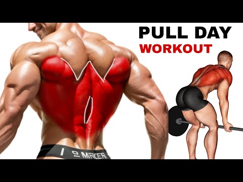 Complete " Pull Day " Best Workout Gym for Muscle Growth