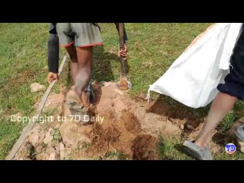 WOW!! 2 Brave Children Catch Big Snake With Bare Hand