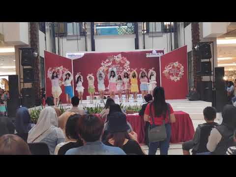 [FREEZONE]   DANCE COVER IZ*ONE LA VIE EN ROSE & VIOLETA