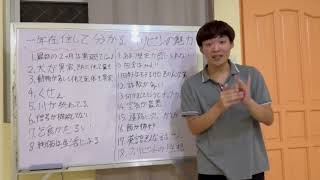 １年在住の若者がフィリピンを徹底解説＜鬱＞