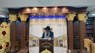 הרב מאיר דוד שמואלי - האוצר היומי סדר קנ"ט