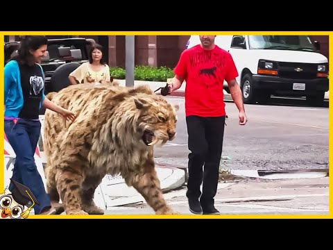 35 Extinct Animals Caught on Camera