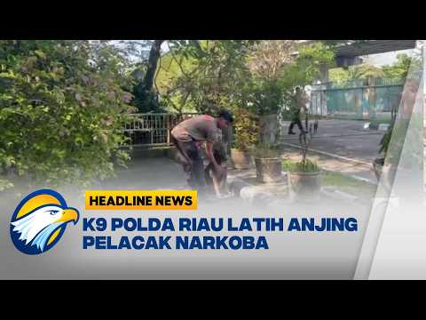 [HEADLINE NEWS, 07/06] Unit K9 Polda Riau Asah Kemampuan Anjing Pelacak Narkoba di Pekanbaru