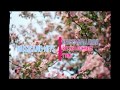 Kelsea Ballerini - Better Luck Next Time (Lyrics) Kelsea Ballerini - Better Luck Next Time (Lyrics)