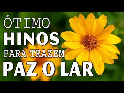 Hinos CCB 2023 -Hinos Mais Perfeito de Libertação - A Melodia Do Hino Ccb Acalma A Alma