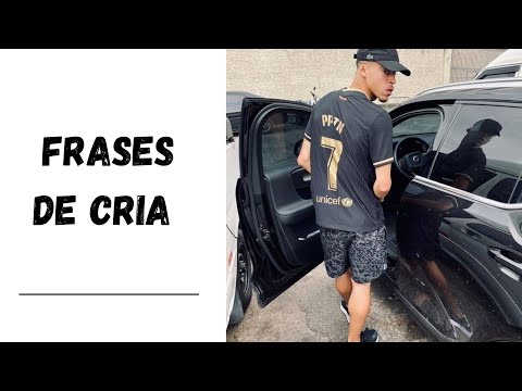 FRASES DE CRIA