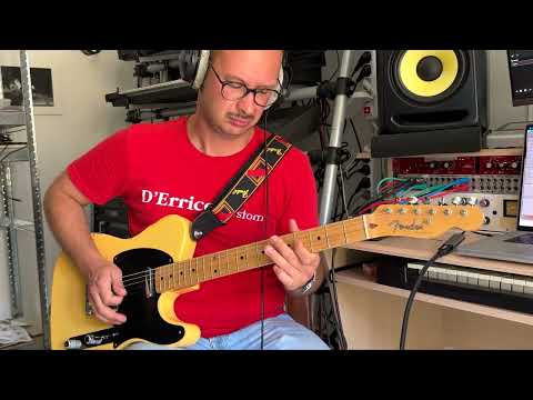 D'Errico Custom VK-R2 preamp (Alembic F2B) STEREO - point to point image 23