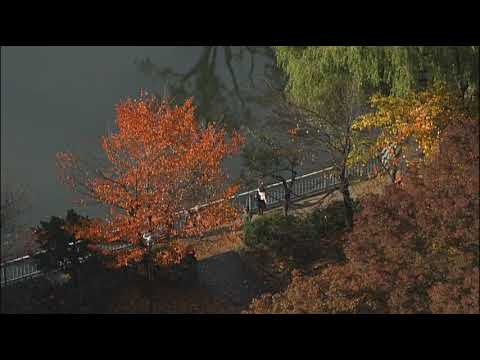 Nakajima Park