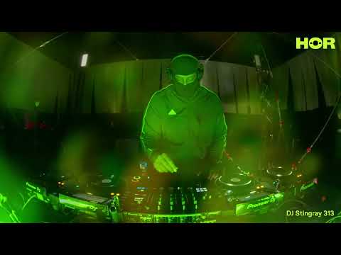 HÖR x Bau Mich Auf - DJ Stingray 313 | HÖR - Aug 19 / 2022