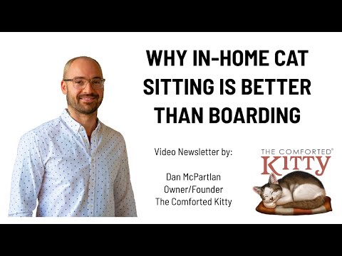 Why In-Home Cat Sitting is Better Than Boarding