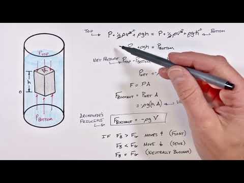 Archimedes Principle and Buoyant Force Explained Using Fluid Pressure and Bernoulli's Law