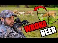 BIG BUCKS FROM THE GROUND Shots FIRED