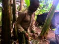 Nyama Choma