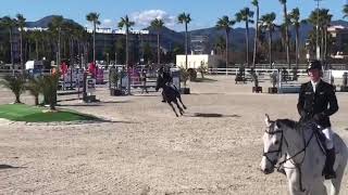 Carlotta 5e Silver Tour Oliva