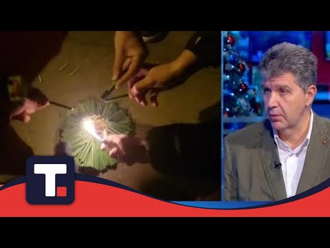 Psi i pirotehnika, kako da pomognemo ljubimcima tokom praznika? Vladimir Terzin • DOBRO JUTRO TANJUG