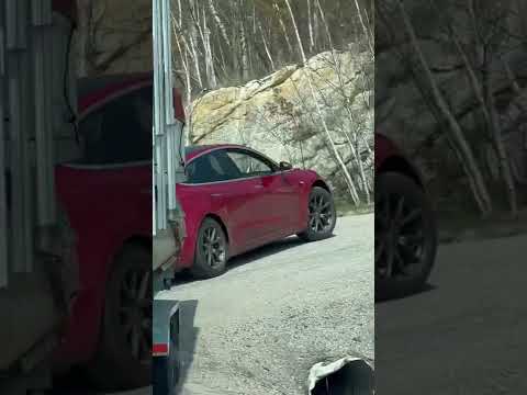 Tesla Model 3 towing BIG pontoon boat, you gotta see this!