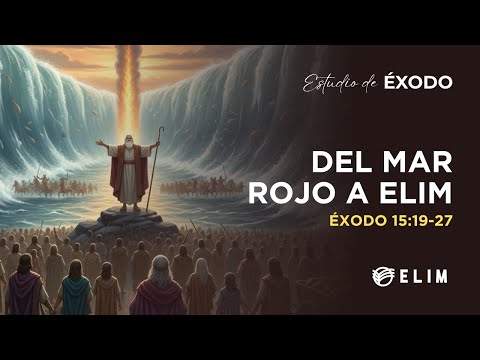 From the Red Sea to Elim | Exodus 15:19-27 | Bible Study