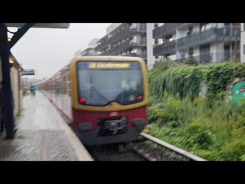 S-Bahn Berlin Mitfahrt von Pankow bis Yorckstraße in der BR 482 auf der S2