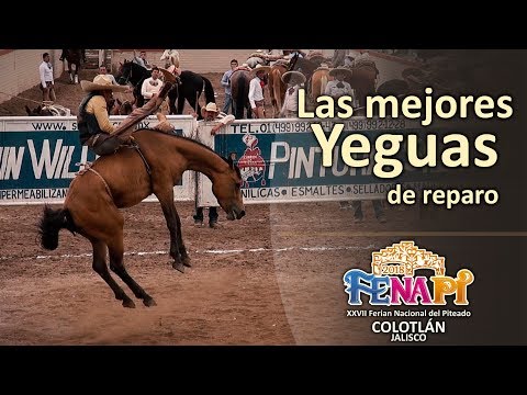 MARE RIDING - Colotlán Tournament, Jalisco 2018