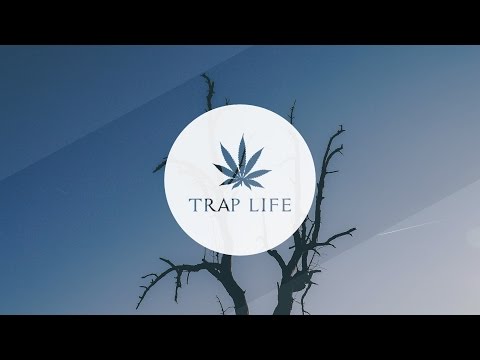 Wayvee x GT Vienna - No doubt