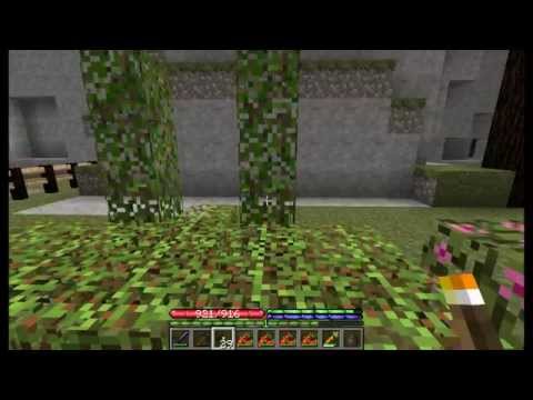 TerraFirmaCraft S:1-E:19