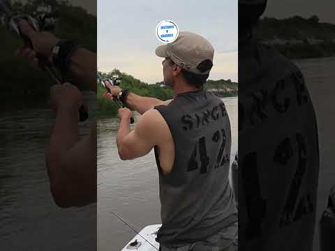 🎣 LA PAZ: Pesca deportiva y cocina en Entre Ríos #DestinosYSabores