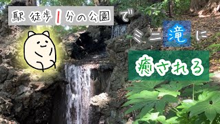 【散歩】多摩川駅徒歩1分 田園調布せせらぎ公園でミニ滝に癒される