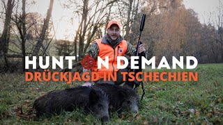 Drückjagd in Tschechien 🇨🇿 mit @WildboarFanatic