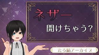 ネザー開けちゃう？ ーたろさばアーカイブ #Minecraft
