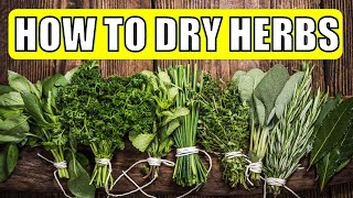 How To Dry Herbs in 3 Easy Ways - AIR DRY, OVEN DRY OR MICROWAVE
