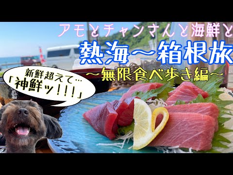 YouTube動画を再生