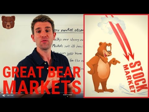 Bear Markets Tips and Observations 🐻 Video