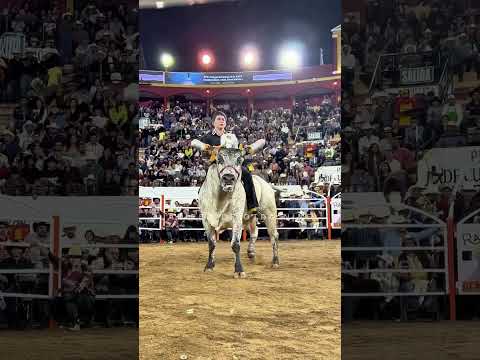 buena monta del CHITO DE AUTLAN!! #jaripeo #toros #toroultra #tradiciones #torosdereparo