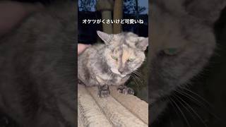 おーけーつクサクサちゃん