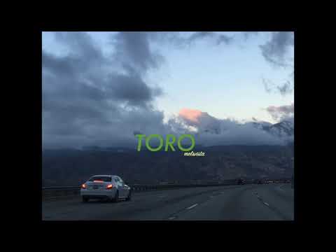 PopRosay - TORO (PROD. KINGBNJMN)