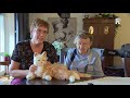 Robotpoes voor demente bewoners: Het is ècht net echt.