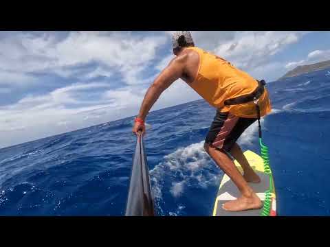 Accelration vs Speed in Downwind Hydro Foiling