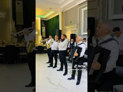 ORCHESTRA MOLDOVLASKA | SUITA 2024