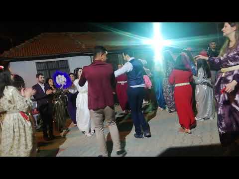Müzisyen Özlem Ökten AKŞEHİR düğünleri Bermende savaş köyü mahallesinden Rümeysa & Emre çiftinin