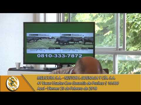 23-02-18 Venta de Vientres - Consig. Melicura S.A. & Nestor I. Goenaga y Cía. S.A. Azul